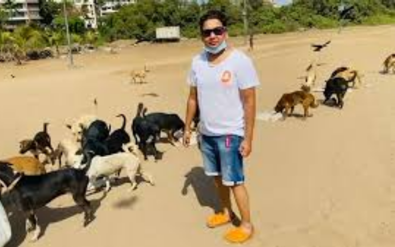 Volunteer feeding 20+ dogs on Mumbai beach