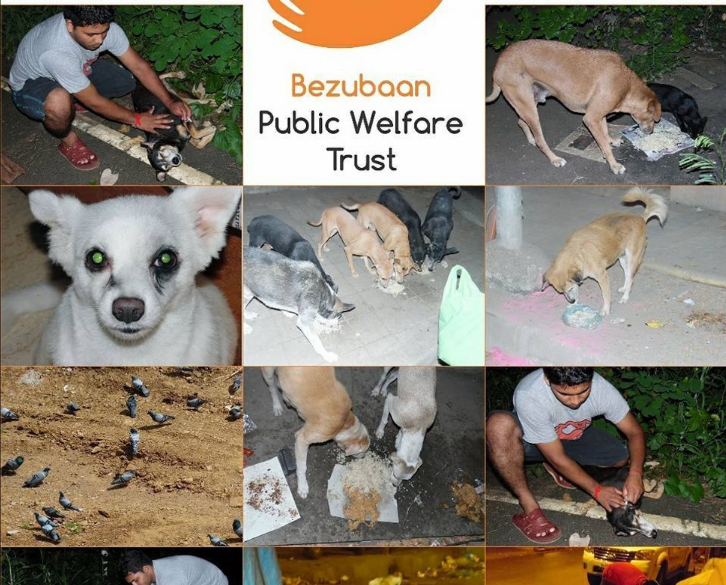 Bezubaan rescue and feeding collage
